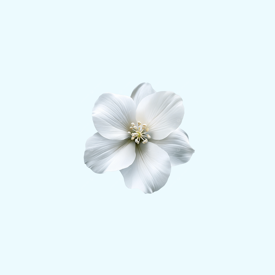 Les fleurs se fanent