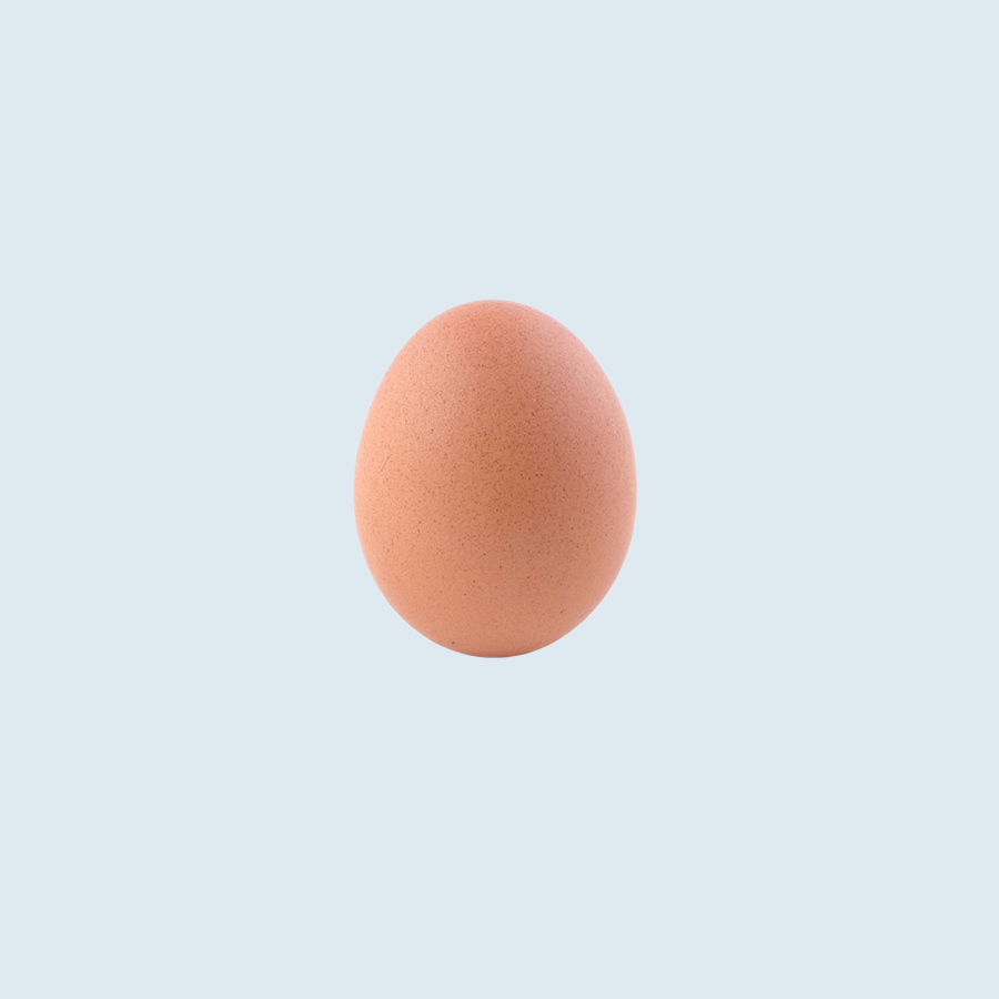 EGGSOGRAPHY